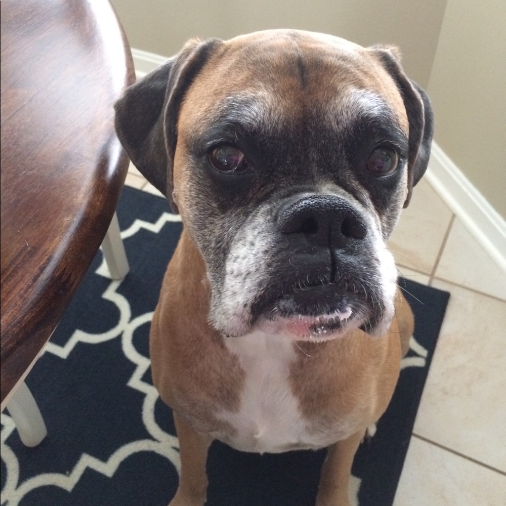 Meet your Posher, Laura